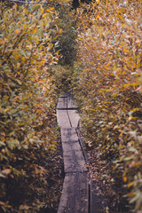 A Way Through