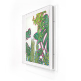 Tropical Jungle 1