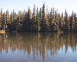 Sun-kissed Reflections