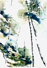 Rise III