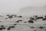 Low Tide/La Push, Washington