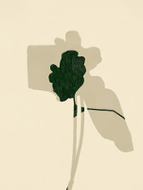 Stems 3