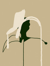 Stems 4