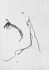 Portrait Of A Lady