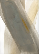 Ray 1