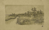 Tranquil III