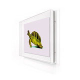 Turtle Art 3