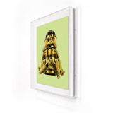 Turtle Art 2 Green