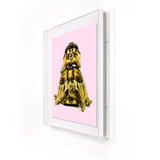 Turtle Art 2 Pink