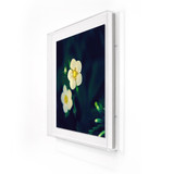 Flower Power Sublimity