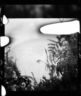 Hasselblad Fern II