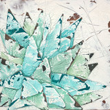Moment with Agave 2