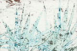 Study of Blue Agave
