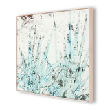 Study of Blue Agave