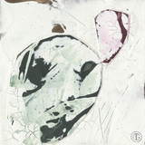 Nopales 1