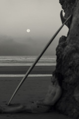 Full Moon