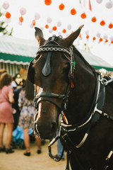 Feria de Abril 1 - Seville, Spain