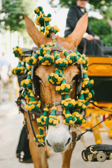Feria de Abril 2 - Seville, Spain