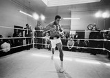 Ali in Training II
