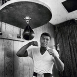 Ali in Training I