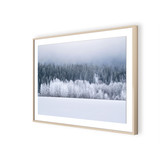 Snow-Covered Winter Landscape