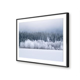 Snow-Covered Winter Landscape