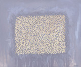 The Way Of The Shepherd No. 1