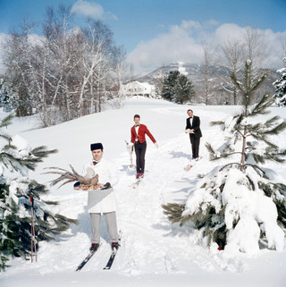 Skiing Waiters