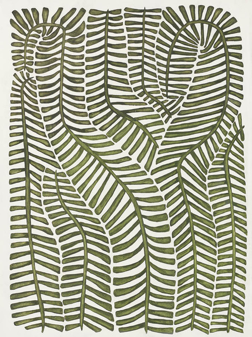 Pteris Pteris