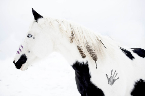 White Light White Light