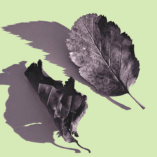 Green Leaf
