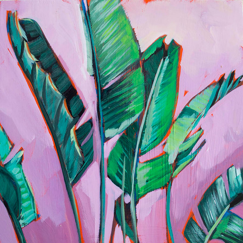 Palm Frans