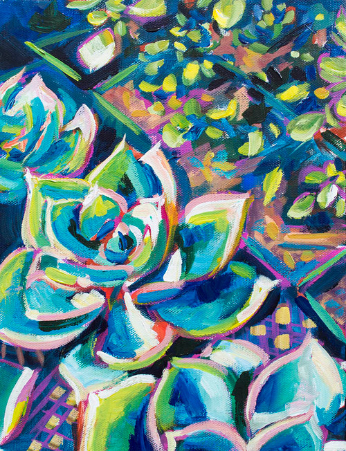 Succulents 2