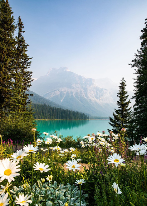 Flower Mountain