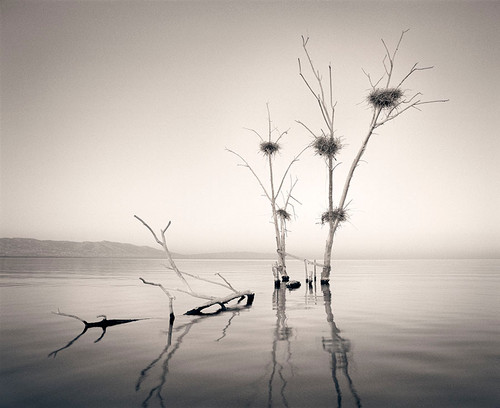 Five Nests - Salton Sea