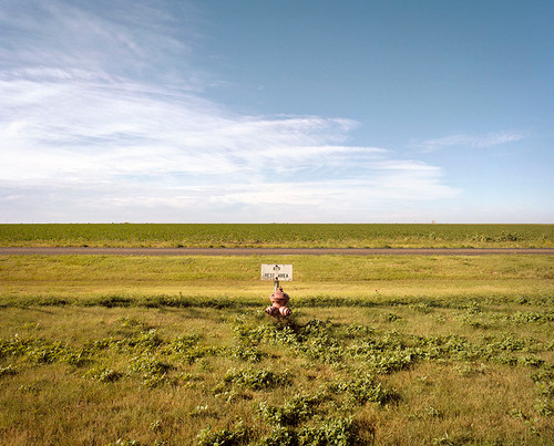 Pet Area - Amarillo, Texas