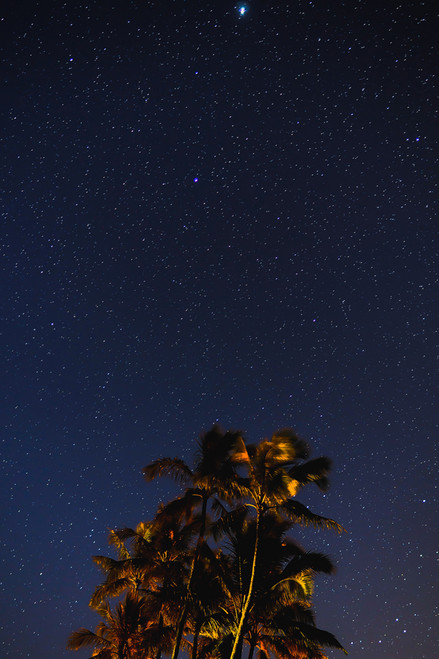 Stars in Paradise