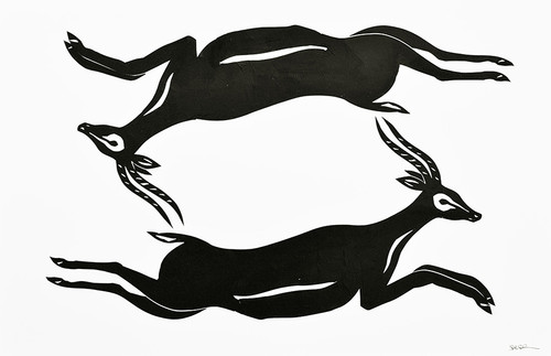 Springboks