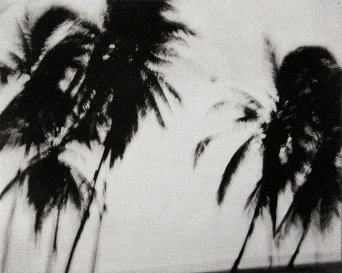 Sea Breeze