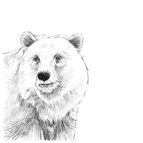 Minimalist Bear