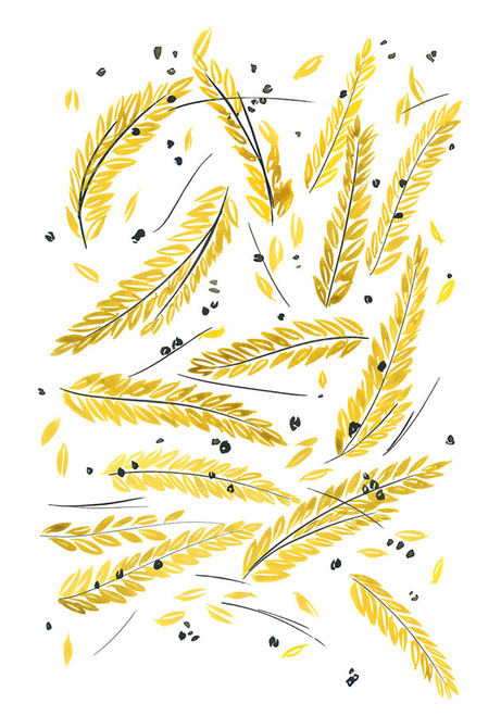 Fields of Gold