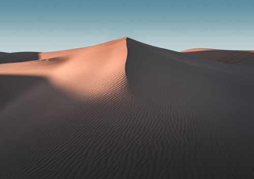 Dune