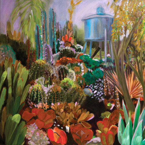 Cactus Garden Night