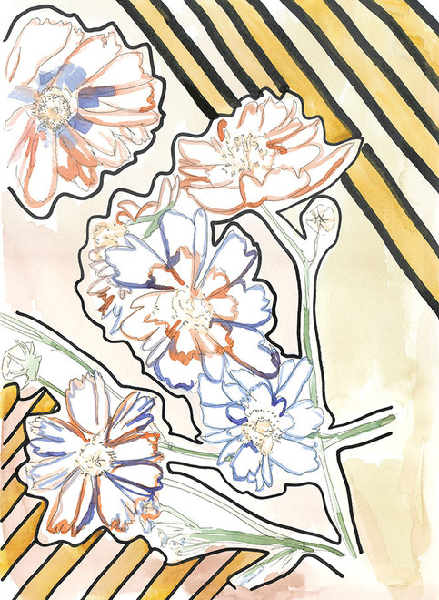 American Buttercups