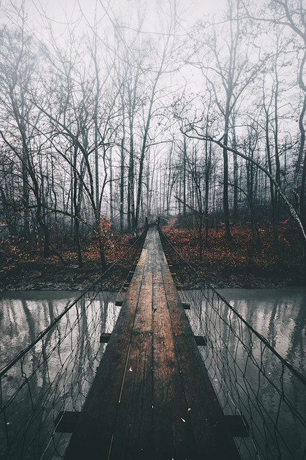 Foggy First Steps