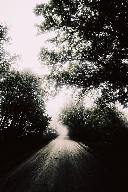 The Road Less Traveled, Michigan