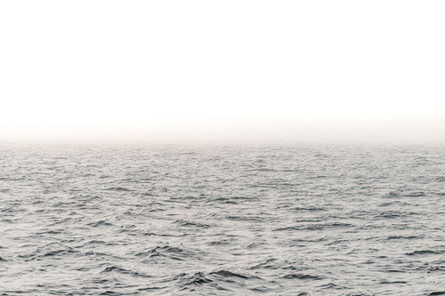 Into the Fog