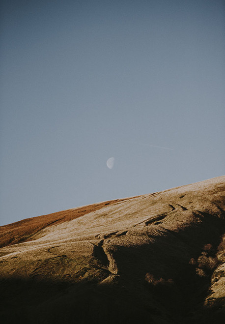 Countryside Winter Gathering II