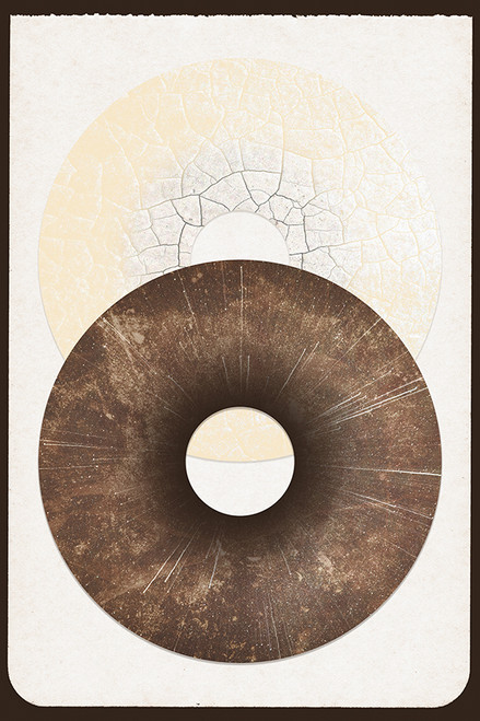 Fractured Disk