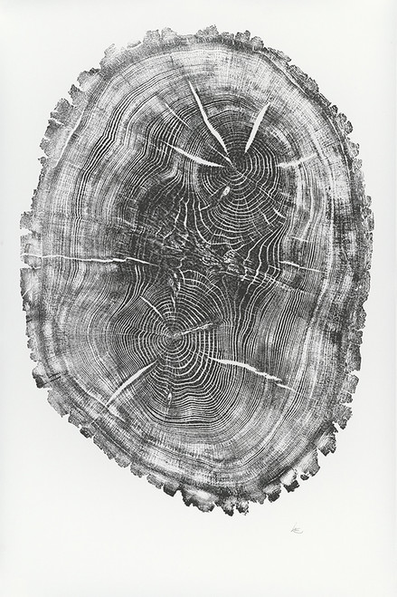 Nauvoo Oak